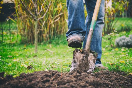 Person gräbt im Garten um