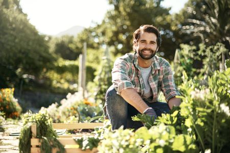 Mann sitzt im Garten und erntet