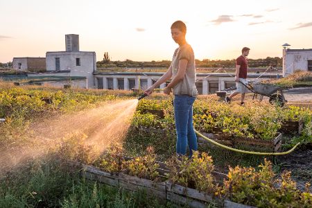 Junge Menschen beim Urban Gardening auf einem Dach in einer Großstadt