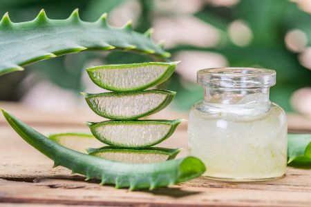 Aloe Vera-Blätter und -gel
