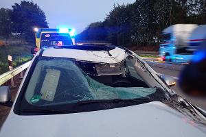 Beschädigung des Fahrzeugs