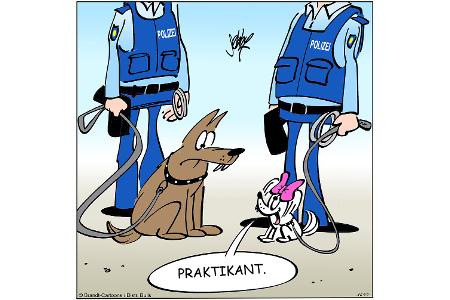 NEUEZEITEN