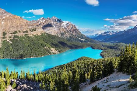 Peyto Lake in Kanada
