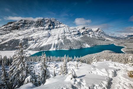 Peyto Lake in Kanada