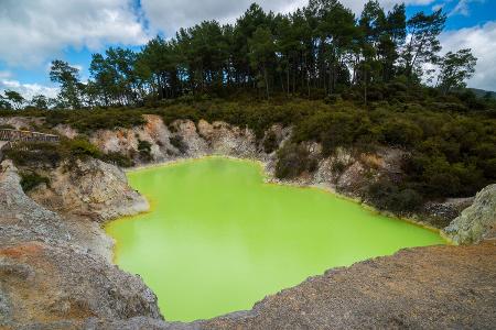Devil's Bath Pool in Neuseeland (Wai-o-tapu)