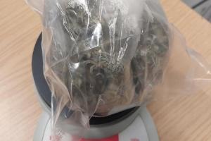 Bundespolizisten stellen Marihuana im Flensburger Bahnhof sicher.
Foto Bundespolizei