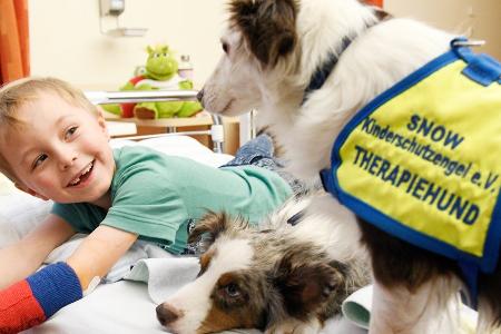 Therapietiere im Klinikalltag: Hohe Akzeptanz, geringe Verfügbarkeit