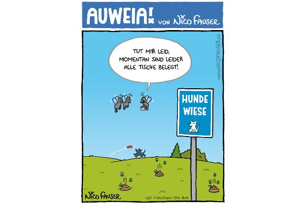 AUWEIA