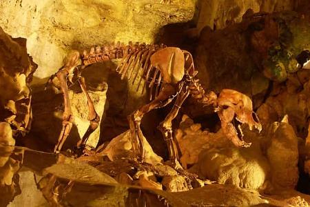 Skelett, Bärenhöhle, Tropfsteine, Höhle, Sonnenbühl, Schwäbische Alb