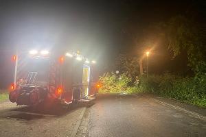 Sturmschaden (Foto: Feuerwehr Celle)