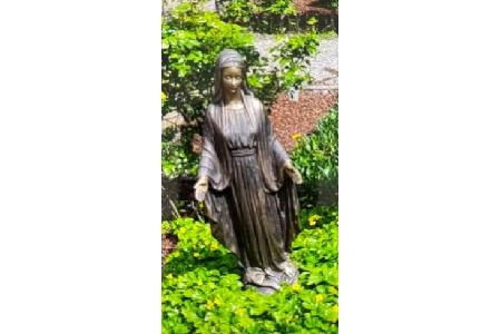 Statur