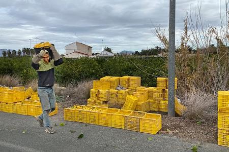 Winter in Spanien f Zitronen
