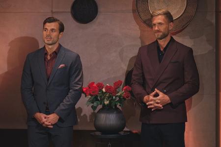 Die Bachelors