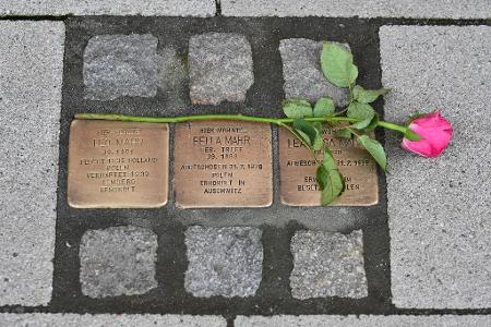 Stolpersteine erinnern in vielen deutschen Städten an individuelle Opfer des Nationalsozialismus. (Archivbild)