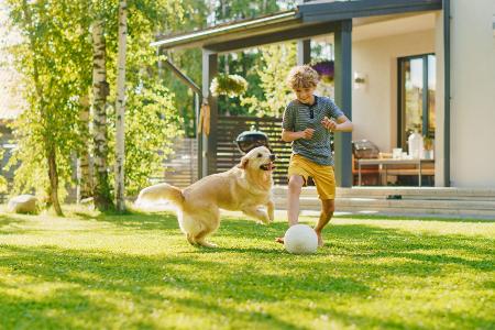 Spielende Kinder und Hunde