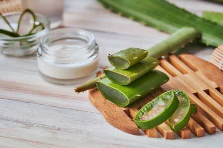 Aufgeschnittene Aloe-Vera-Pflanze neben einer Cremedose