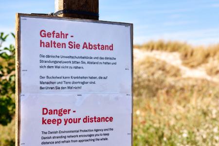 Achtung, Ansteckungsgefahr! Die Behörden warnen auch auf Deutsch.