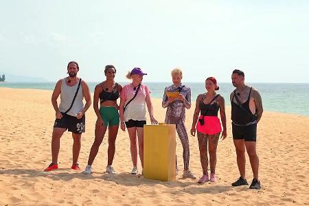 Kampf der RealityAllstars