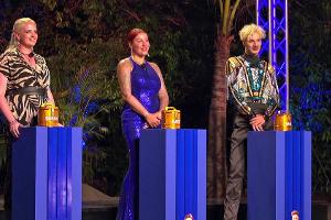 "Kampf der RealityAllstars": Dieser Promi setzt sich im Finale durch
