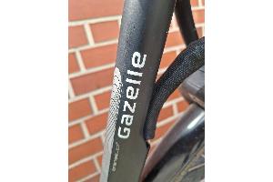 Gazelle