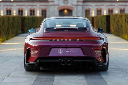 Porsche 911 GT3 Touring Sonderwunsch Tree of Life