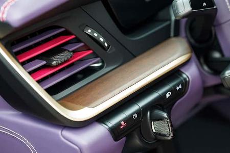 Porsche 911 GT3 Touring Sonderwunsch Tree of Life