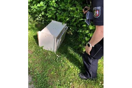 Aufgebrochener Safe