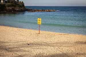 Nach dem Hai-Angriff wurde der betroffene Strand aus Sicherheitsgründen geschlossen.
