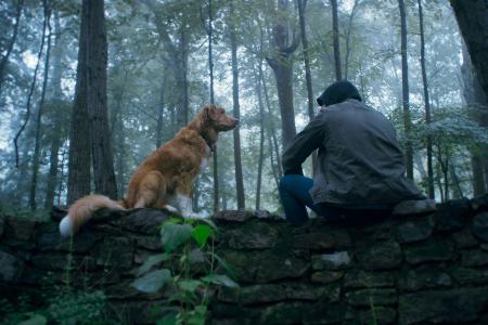 Good Boy - Trust His Instincts (2025)