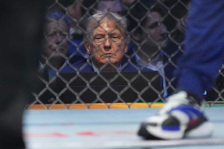 Konzentriert scheint US-Präsident Donald Trump einen Kampf bei den  UFC Freedom 250 zu verfolgen