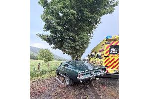 © Feuerwehr Dresden
Der PKW kollidierte mit einem Baum, nachdem er von der Fahrbahn abgekommen war.