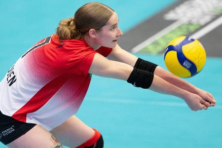Volleyball: Dresden verleiht Ziegenbalg nach Erfurt