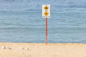 Nach dem Hai-Angriff wurde der betroffene Strand aus Sicherheitsgründen geschlossen.