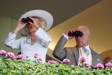 Alles im Blick: Königin Camilla und König Charles III. verfolgen die Rennen auf der Royal Ascot auf der Pferderennbahn.