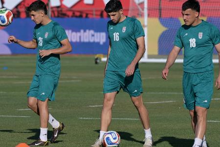 Iran: Neues US-Visum für Torabi