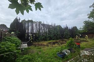 Die Hecke brannte vollständig ab