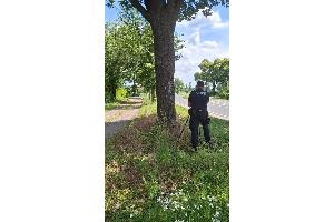 Foto zur Geschwindigkeitskontrolle in Suderbruch