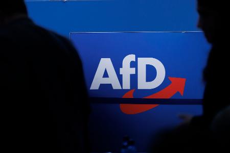 Die AfD erreicht auch im ZDF-