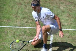 Zverev nervenstark ins Halbfinale von Halle