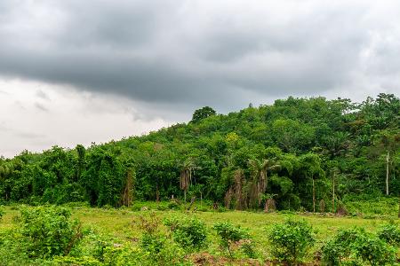 Nationalparks und Tierwelt