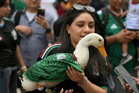 WM-Ente Merlín: 