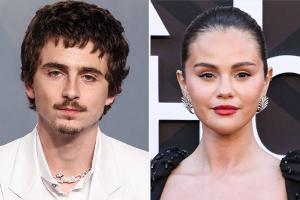 Timothée Chalamet: Gemeinsames Projekt mit Selena Gomez