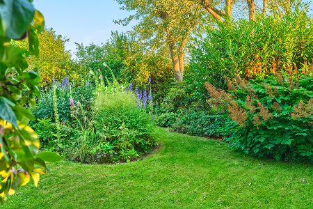 Garten mit Sträuchern und Hecken