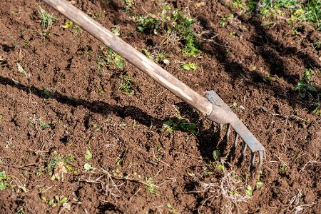 Hacke in einem Beet mit Unkraut