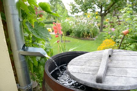 Regentonne mit Abdeckung im Garten