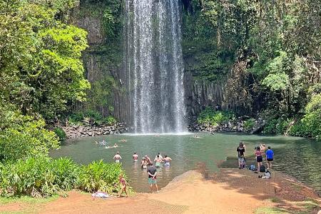 Roadtrip Queensland Millaa Falls f