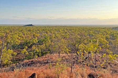 Roadtrip Queensland Undara f