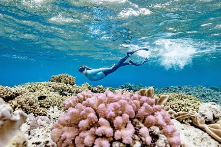 Roadtrip Queensland Reef f