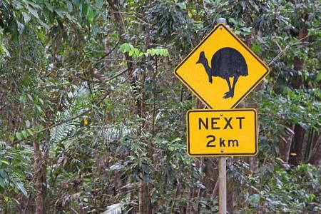 Roadtrip Queensland Verkehr f