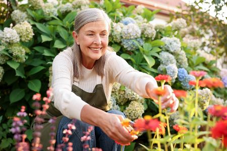 Alte Frau hockt im Garten und pflückt Blumen